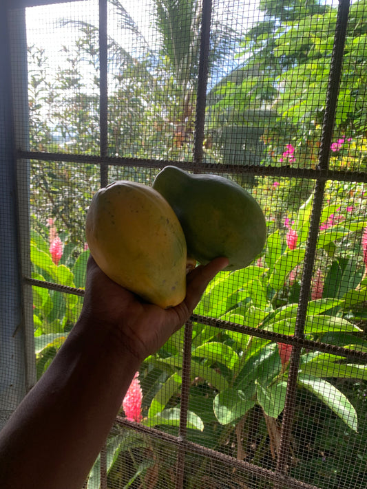 Papaya PER LB